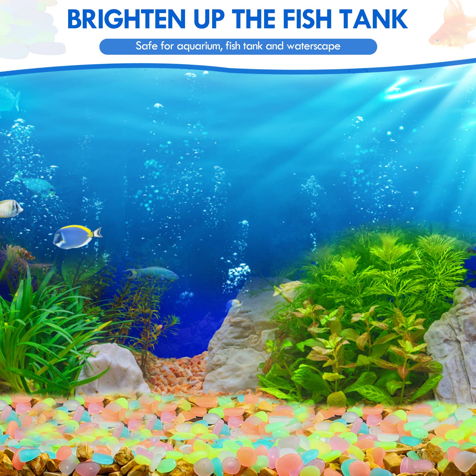 100 Stück im Dunkeln leuchtend – Aquarium Fish Types Bewertung und Preis