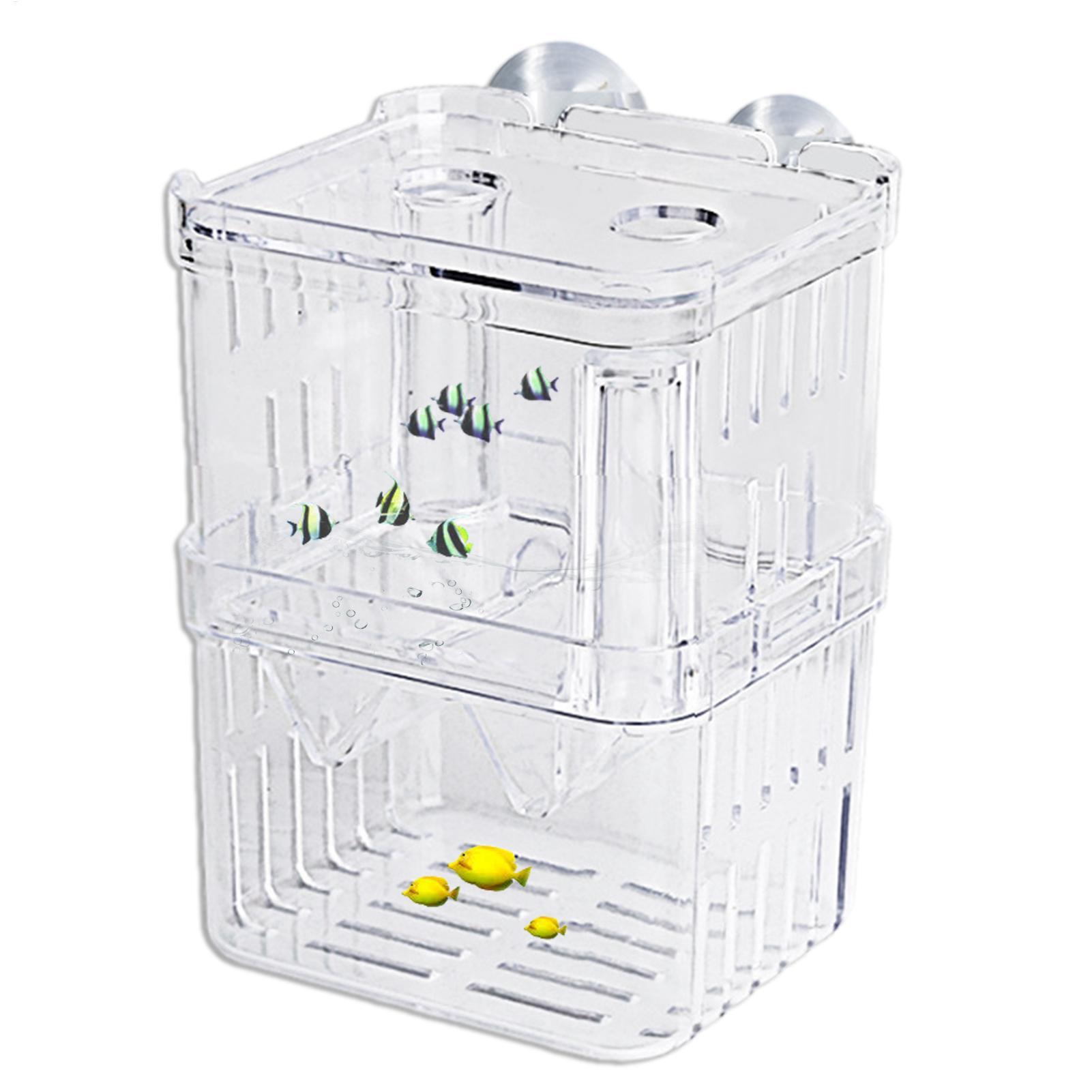 Zuchtbox für Aquarien Transpar – Aquarium Fish In Bowl Bewertung und Preis