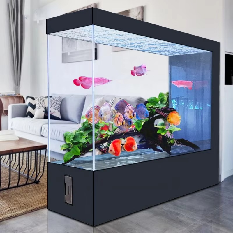 Großhandel Maßanfertigung Neue – Aquarium Fish And Price Bewertung und Preis