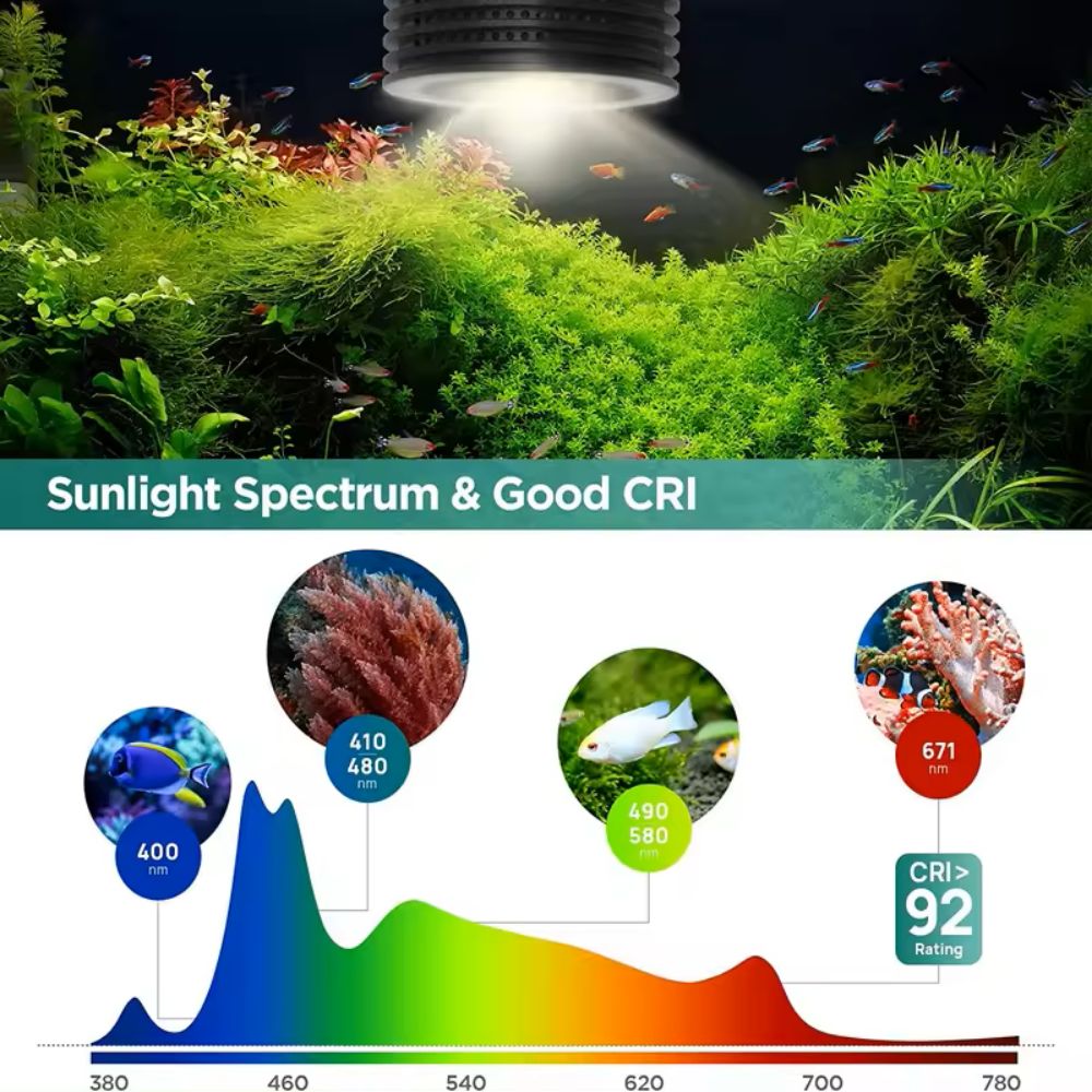 Lominie Asta 20 Süßwasser 18 W – Refugium Light Nano Bewertung und Preis