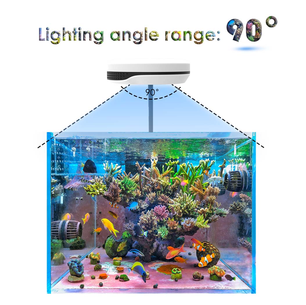 Clip-on 20W LED-Aquariumleucht – Refugium Light Nano Bewertung und Preis