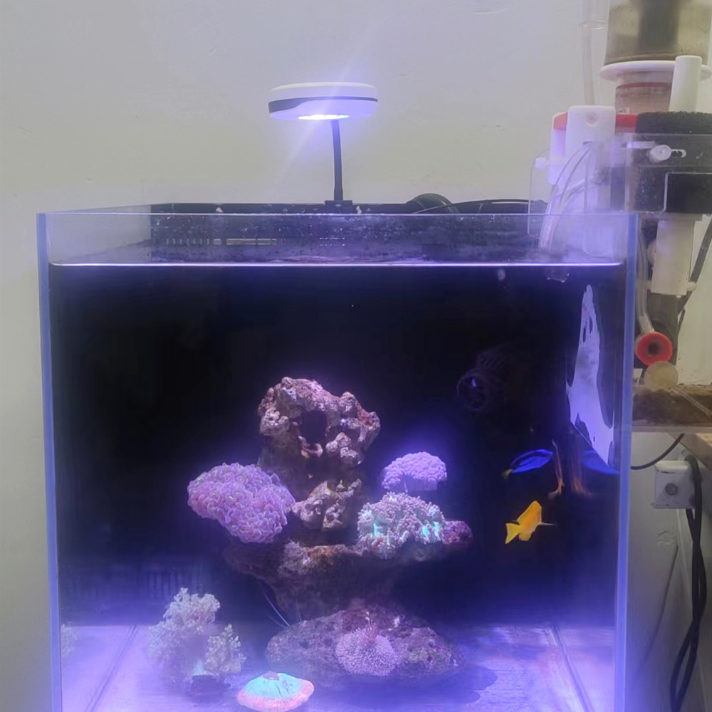 Clip-on 20W LED-Aquariumleucht – Refugium Light Nano Bewertung und Preis